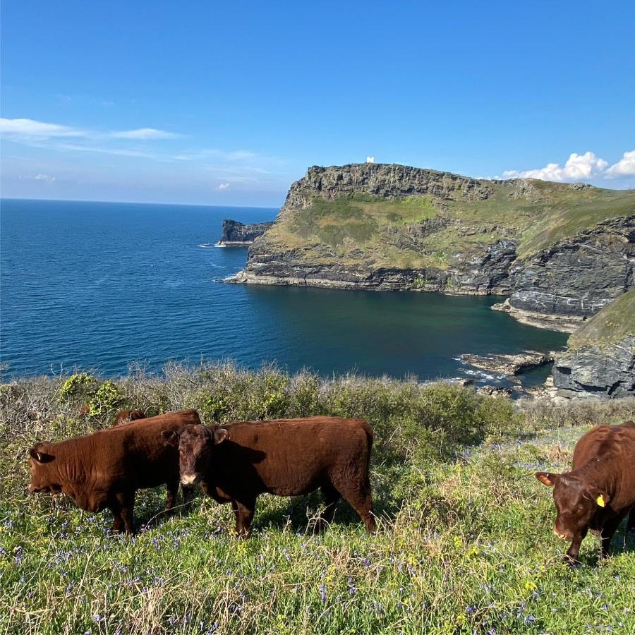 Polrunny Farm Sloe Cottage With A Sea View Boscastle Luaran gambar