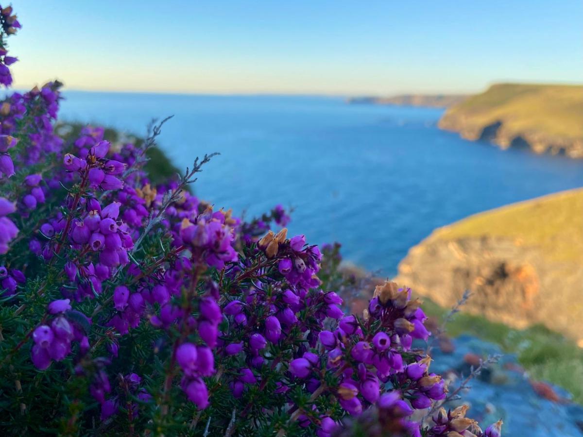 Polrunny Farm Sloe Cottage With A Sea View Boscastle Luaran gambar